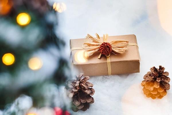 Resengo - Cadeau onder de kerstboom